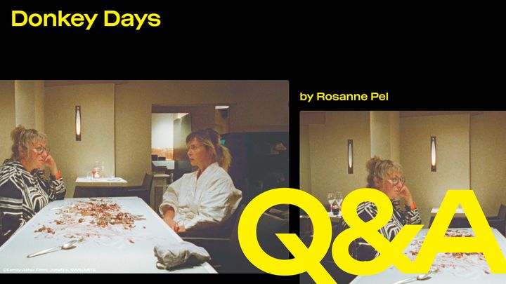 Donkey Days – Q&A