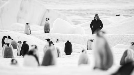 Voyage au pôle Sud_2© LUC JACQUET