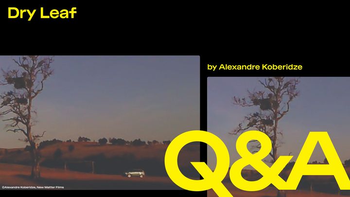 Dry Leaf – Q&A