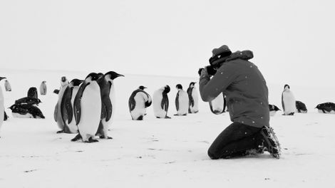 Voyage au pôle Sud_1©Cédric Gentil_Expédition Wild-Touch Antarctica!.jpg